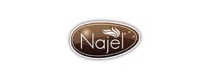 Logo de NAJEL