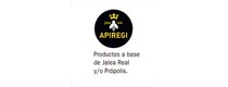 Logo de APIREGI