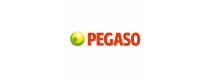 Logo de PEGASO