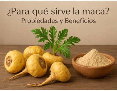 ¿Para qué sirve la maca? Propiedades y Beneficios 