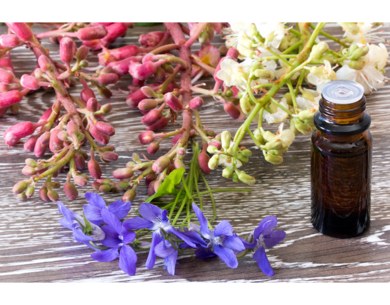 Flores de Bach, ¿qué remedios aportan estos productos naturales?