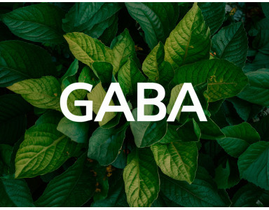 GABA: Qué es, para qué sirve y principales beneficios 