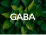 GABA: Qué es, para qué sirve y principales beneficios 