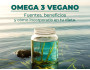 Omega 3 vegano: fuentes, beneficios y cómo incorporarlo en tu dieta