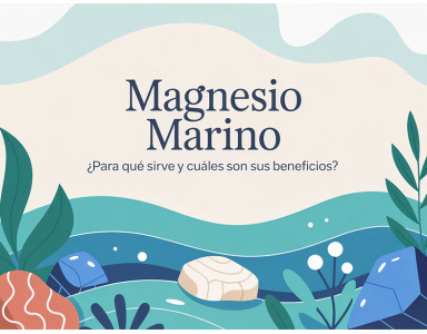 Magnesio marino: ¿para qué sirve y cuáles son sus beneficios?